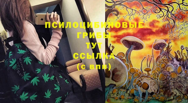 кокс Абдулино