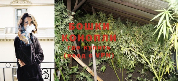 дживик Новозыбков